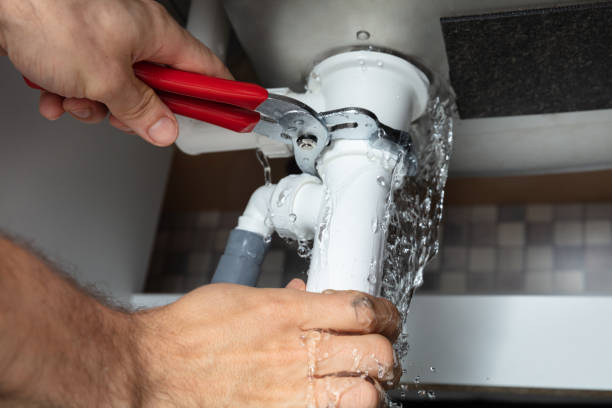 Best Mold removal after water damage  in Moon Lake, FL