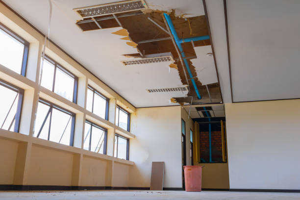 Best Local water damage restoration  in Moon Lake, FL
