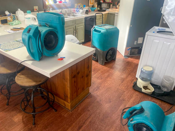Moon Lake, FL Water damage restoration Company