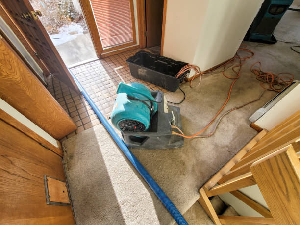 Best Carpet water damage restoration  in Moon Lake, FL