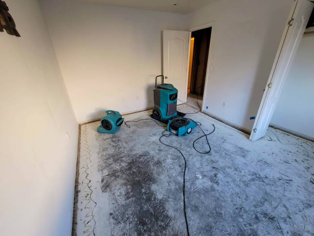 Best Water damage restoration services  in Moon Lake, FL