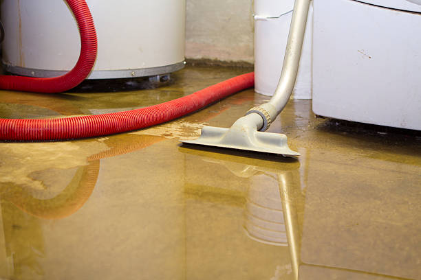 Best Water damage restoration cost  in Moon Lake, FL