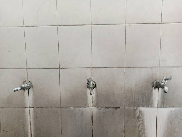  Moon Lake, FL Water damage restoration Pros