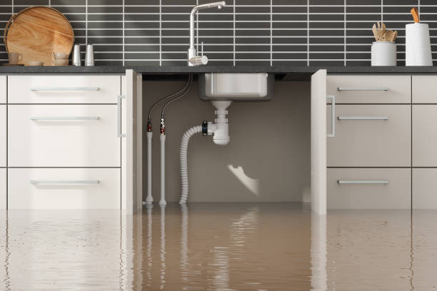 Best Flood damage cleanup  in Moon Lake, FL