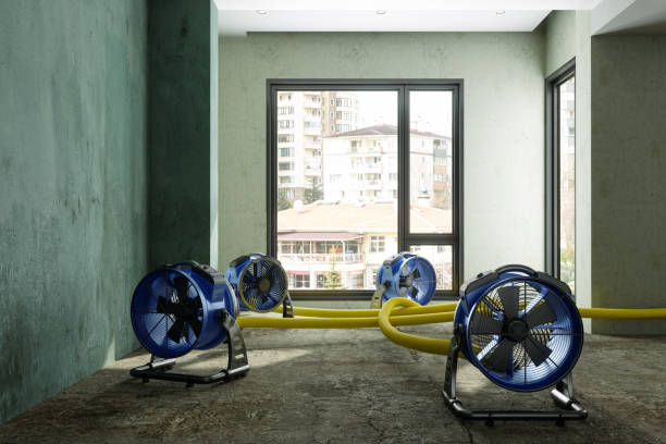 Best Commercial water damage restoration  in Moon Lake, FL