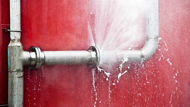 Water damage restoration mold remediation in Moon Lake, FL