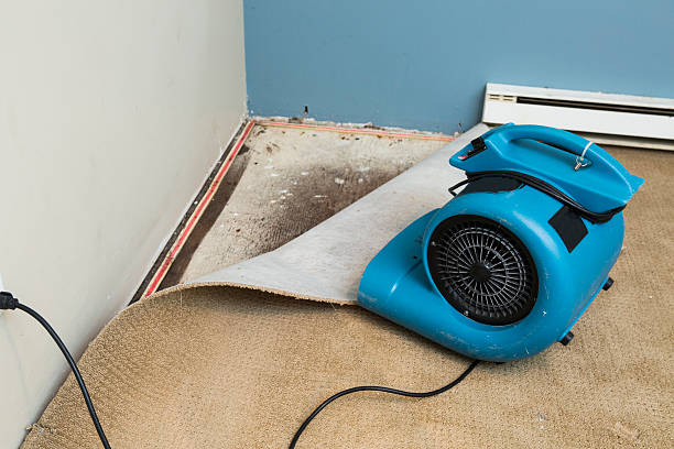 Local water damage restoration in Moon Lake, FL