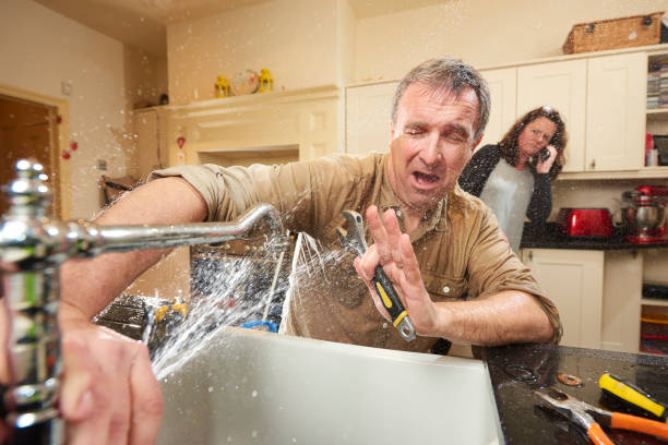 Best Water damage restoration process  in Moon Lake, FL